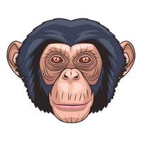 monkey animal wild head character in white background vector