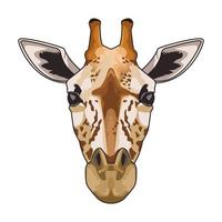 giraffe animal wild head character in white background vector