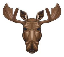 moose animal wild head colorful character icon vector