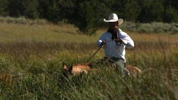 Cowboy monte à cheval à travers les marais video