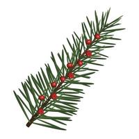 happy merry christmas fir leaf tree with seeds vector