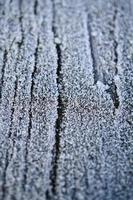 ice on the wooden ground photo