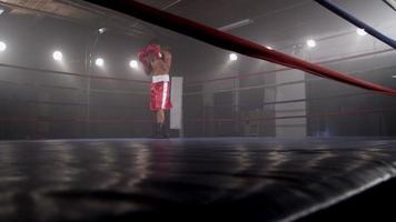 Boxer training in boxing ring video