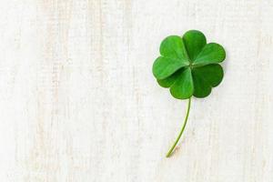 Close up clover leaves on white shabby wooden background photo