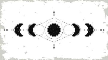 estructura de las fases lunares vector