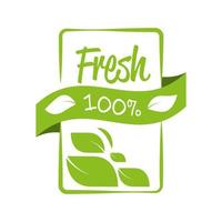 fresh organic food vector