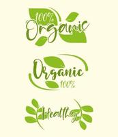 organic food healthy vector