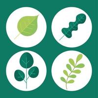 set leaf nature vector