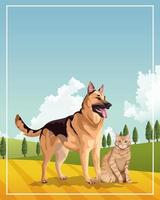 dog and cat mascots domestics in the field