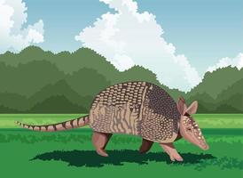 wild armadillo in the field vector