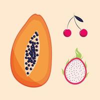 tropical fruits icons vector