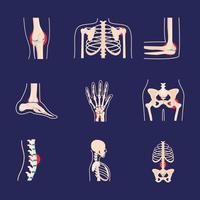 conjunto de trastornos de reumatología vector