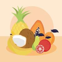 tropical fruits mix vector