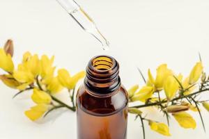 Close up of a pipette amber bottle and yellow flower branch photo