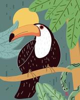 toucan tree branch vector