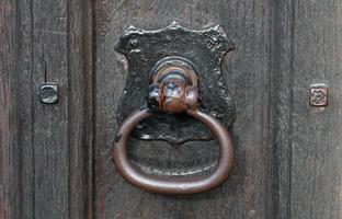 Ornate Door Knocker