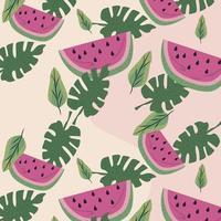 watermelon and leafs vector