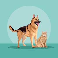 dog and cat mascots domestics