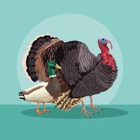 turkey and duck animals farm vector