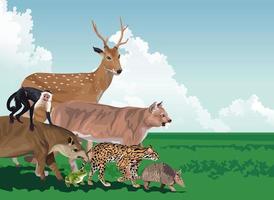 group of wild animals in the field vector