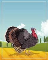 turkey animal farm in the camp scene vector