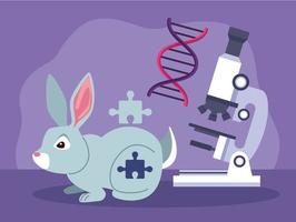 genetic testing rabbit