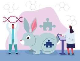 genetic testing with rabbit vector