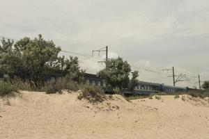 the train passes through the desert olives growing near the railway photo