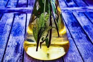 Leaves in a conical flask photo