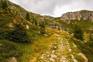 Ancient paved road photo