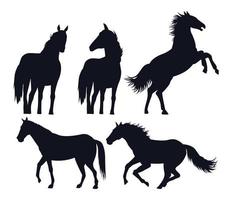 caballos, negro, animales, siluetas, aislado, iconos vector