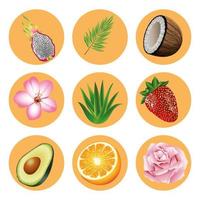 bundle of nine tropical fruits and plants set icons vector