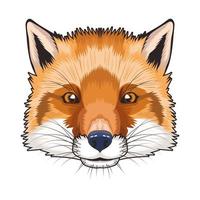 fox animal wild head character in white background vector