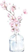 Watercolor painting cherry blossoms 5 vector