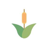 flower spike foliage natural floral botanical icon vector