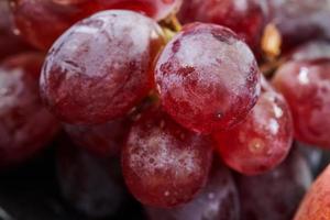 Grapes on a dark background photo