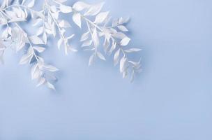 Frame of white branches on a blue background photo