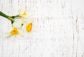 Daffodil flowers on a wooden background photo