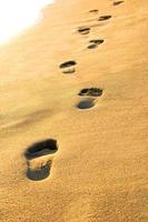 Footprints in the golden sand on the sea beach in Spain, Palma de Mallorca photo