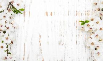 Spring apricot blossom on an old wood background photo