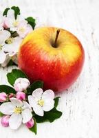 Apple and apple tree blossoms on a wooden background photo