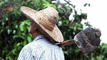 Nahaufnahme eines entzückten asiatischen alten Mannes, der in einem Garten steht und dem Himmel gegenübersteht Bauern sind mit dem Regen je nach Jahreszeit glücklich video