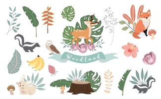 Cute woodland object collection with bear vector