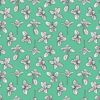 Basil Seamless Pattern. Italian herbs.A sprig of marjoram. Basil is a fragrant and fragrant seasoning. Hand-drawn illustration vector