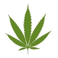 Cannabis leaf green vector