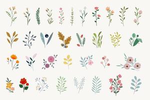 Set of elegant floral elements for graphic and web design vector