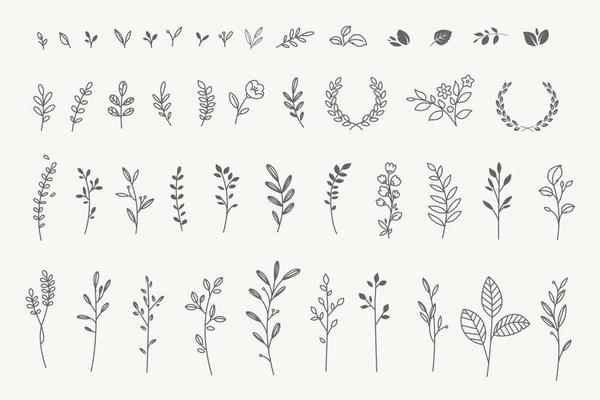 Set of elegant floral elements for graphic and web design
