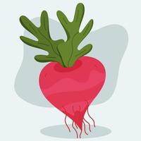 Hand drawn radish vector