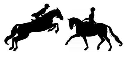 Horse Riding Woman Riding Dressage Horse in Cartoon Style vector