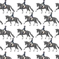 Horseback Riding Seamless Pattern Woman Riding a Horse vector